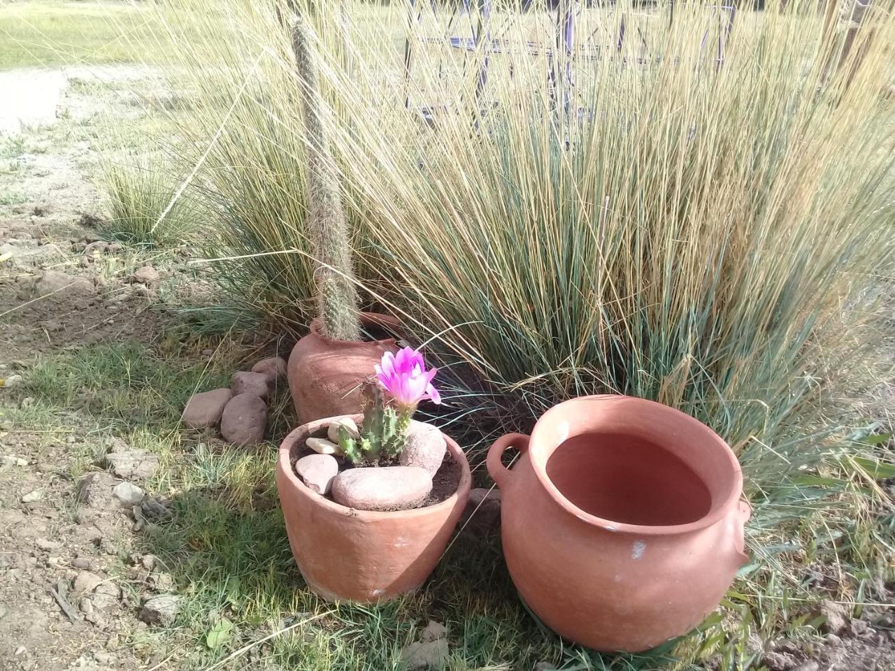 Cabana El Cardon,Casita En El Campo Quebradeno Humahuaca Exterior foto